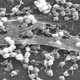 Image for article titled Boogers: Myths and Facts